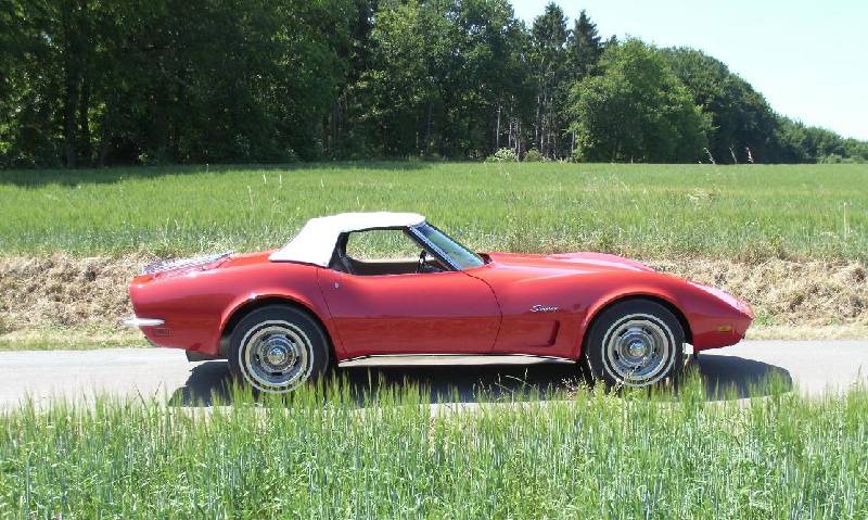 MARTINSRANCH 73 Corvette (8) 